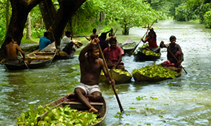Barisal Backwater Tour in Bangladesh to explore floating markets