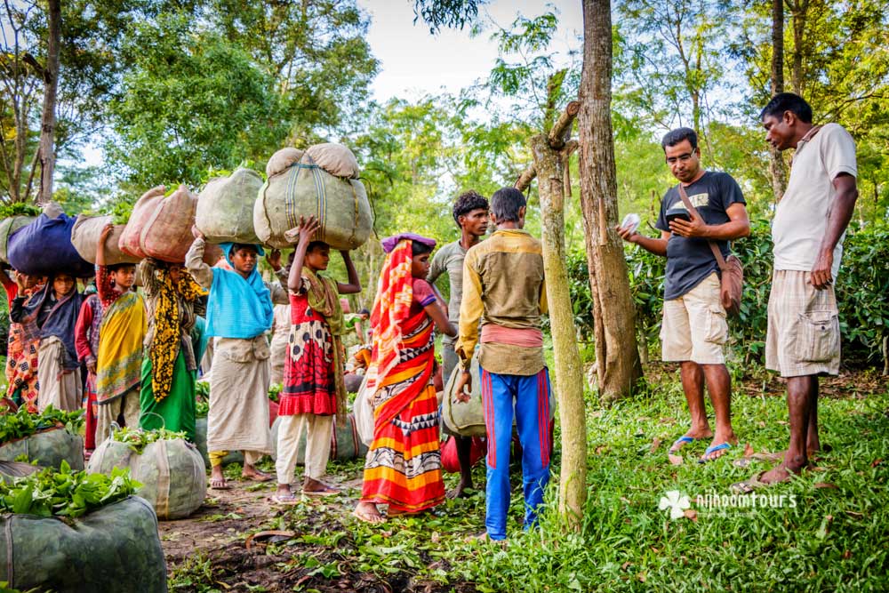 srimangal-tea-deposit-1000-o.jpg